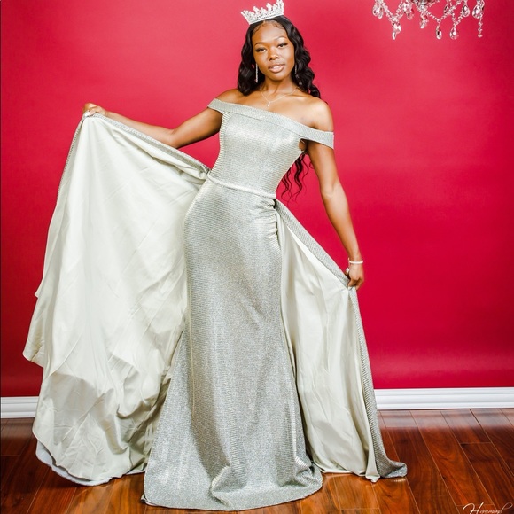 Dresses & Skirts - Princess Gown